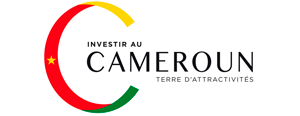 Conference Investir Au Cameroun Full